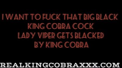 Young Slut Gets Blacked By - King Cobra, Snow Bunny And Lady Viper - hotmovs.com - Usa